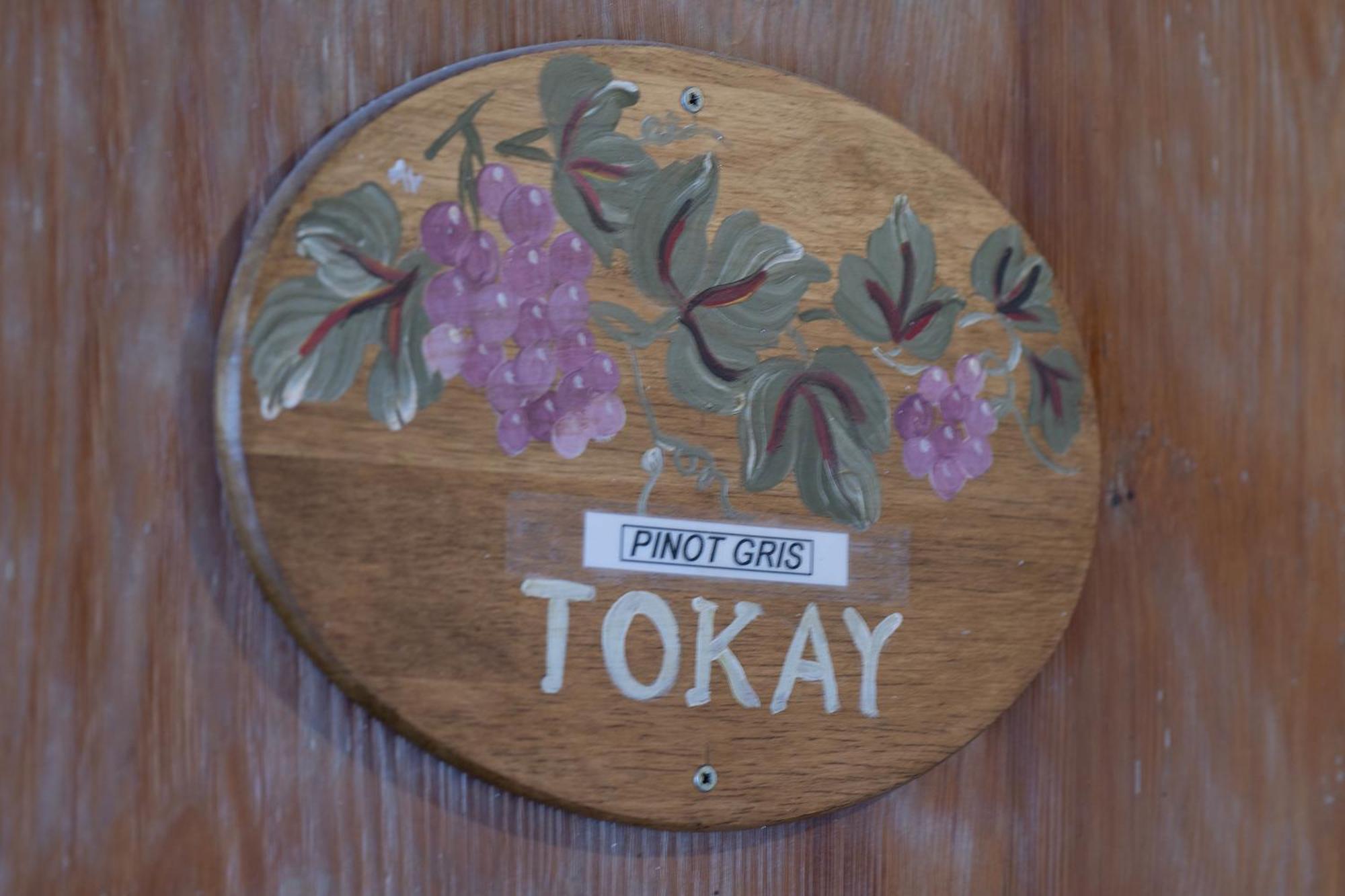 Pinot Gris - Charmant Studio Au Coeur Du Vignoble - Parking Gratuit リクヴィール エクステリア 写真
